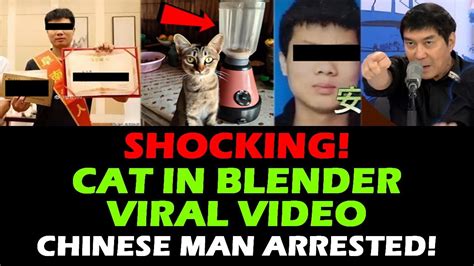 who put a cat into a blender|Who is the cat in blender guy as he’s arrested after full video goes ...